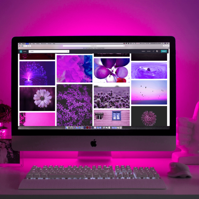 Web Design and Development