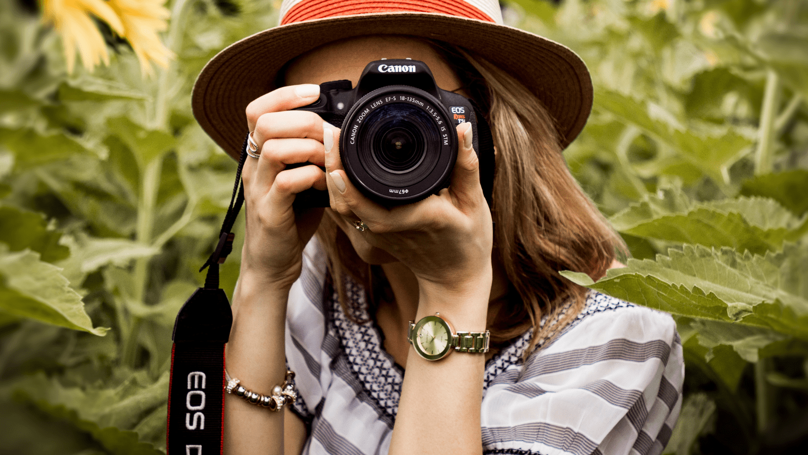 Photography and Videography